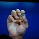 Image for article titled Intel's Curie Module Can Turn Everything You Wear Into a Smart Device